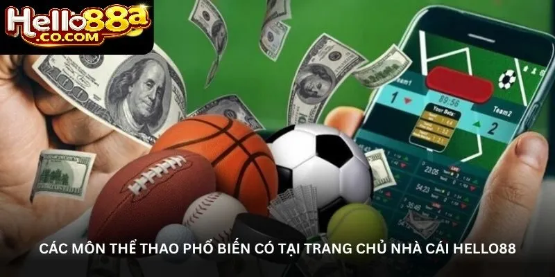 Tốc Độ Tải Trang Và Khả Năng Tương Thích